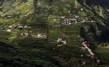 Panorámica de Valle Bajo en el municipio de Hermigua, en La Gomera.