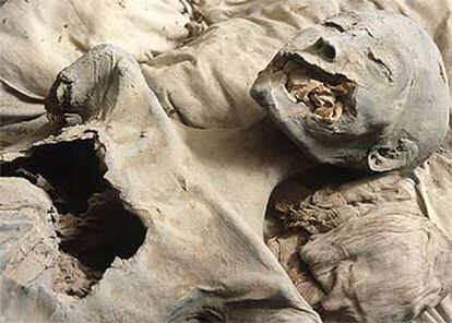 La supuesta momia de Nefertiti.