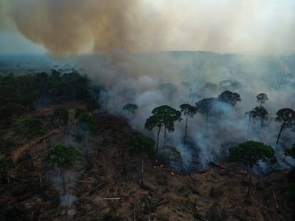 Vista aerea de la quema ilegal de la Amazonía, en Brasil.