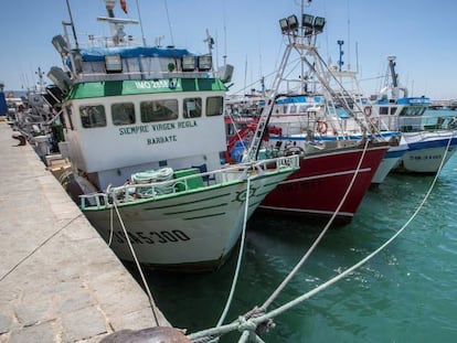 Barcos andaluces que se acogen al acuerdo de pesca con Marruecos, amarrados en el puerto de Barbate (Cádiz) en septiembre de 2019.