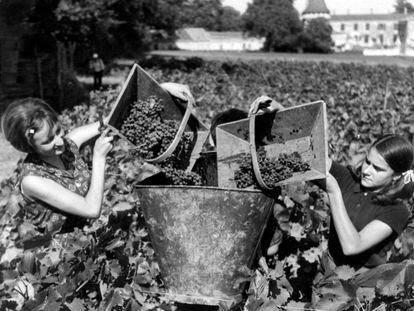 Dos mujeres, en la vendimia en Burdeos (Francia), en 1970.