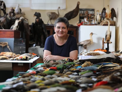 Letty Salinas, bióloga y jefa del Departamento de Ornitología del museo peruano, posa con parte de la colección de aves.