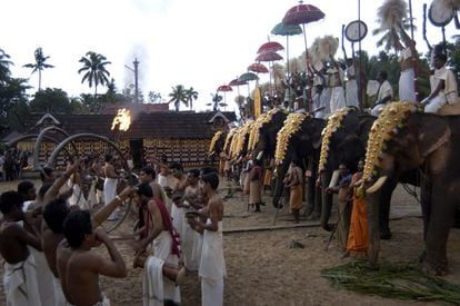 Religious celebration with decorated elephants.