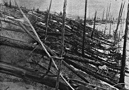 Una roca devast&oacute; cientos de &aacute;rboles en Tunguska en 1908.