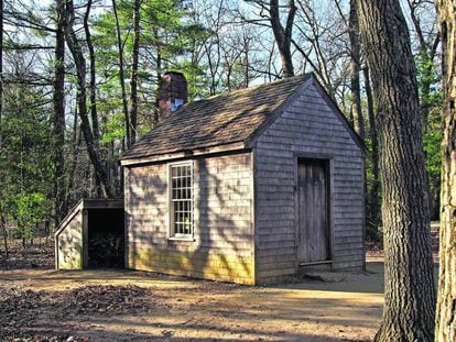 Recreación de la cabaña de Thoreau en el lago Walden.