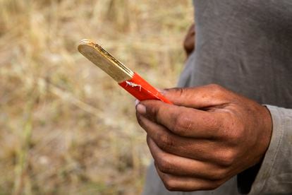 La trentenaire française Estelle montre l'outil rudimentaire, fait de bâtonnets de glace et d'une lame, avec lequel elle fend des plants de pavot dans une ferme d'Ajofrín à Tolède.