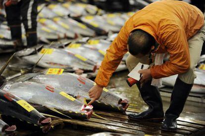 Un pescador revisa un at&uacute;n rojo del Pac&iacute;fico en enero de 2012 (Tokio). 