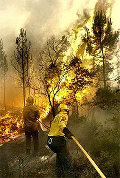 Dos bomberos se afanan en controlar el fuego desatado ayer en Sils.