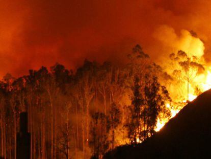 El incendio de Fragas do Eume durante la madrugada.