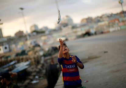 113 pescadores de Gaza han sido detenidos en lo que llevamos de año, según la Asociacion Al-Mezan, un grupo palestino que lucha por los derechos humanos. En 2015 fueron detenidos 41. En la imagen, un niño palestino lanza un pez al aire mientras trabaja como pescador en el puerto de Gaza.