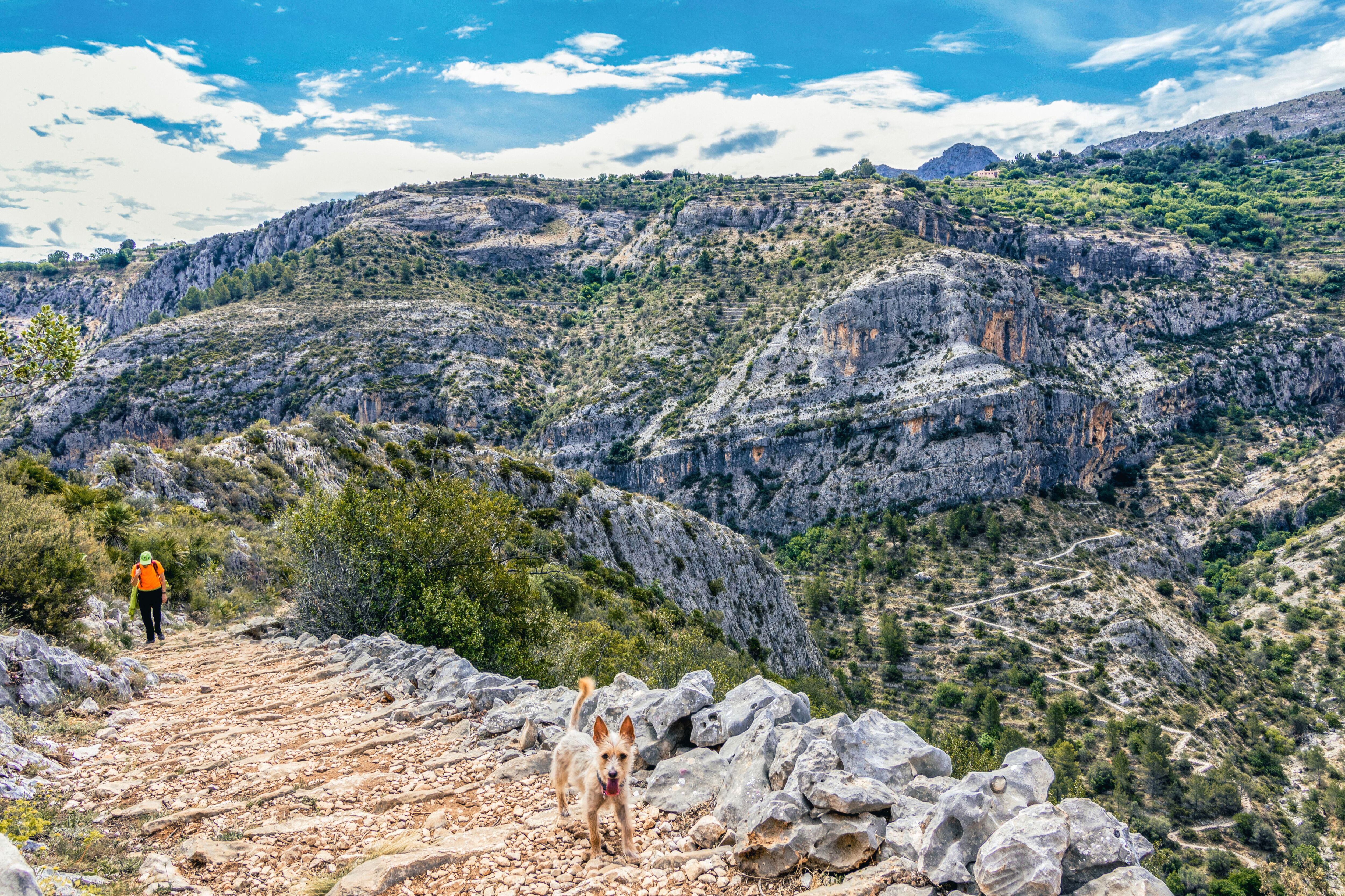 Un senderista en la llamada ruta de los 6.000 escalones en el Barranc de l'Infern, en la Vall de Laguar (Alicante).
