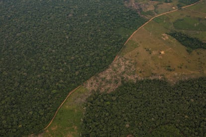 Dondequiera que se construyan caminos en el Amazonas, la deforestación sigue. En esta imagen, se ve cómo la selva comienza a desmatarse en las orillas de una carretera cercana a la reserva nacional natural Nukak, en el Guaviare.
