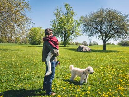Side view of father carrying son with broken leg while standing by dog on grassy field at park