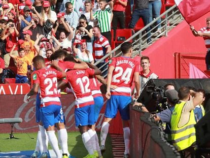 Los jugadores del Granada celebran el gol de Vadillo.