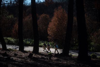 Los bomberos caminan por el paisaje calcinado de Zamora, tras los catastróficos incendios de este verano en esa provincia.