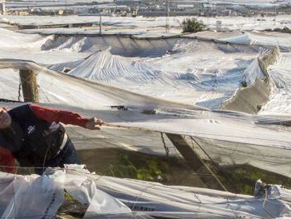 El agricultor Javier Garc&iacute;a comprueba los da&ntilde;os producidos por la tromba de agua y granizo que tir&oacute; al suelo su invernadero en El Ejido. 
 
 