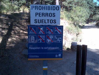 Prohibido llevar perros al campo