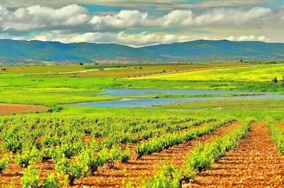 Afloramientos del Guadiana.