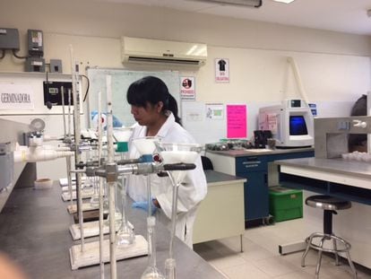 Científicos de la Universdiad Autónoma de Chihuahua investigan las propiedades de la flor cempasúchil en el laboratorio.