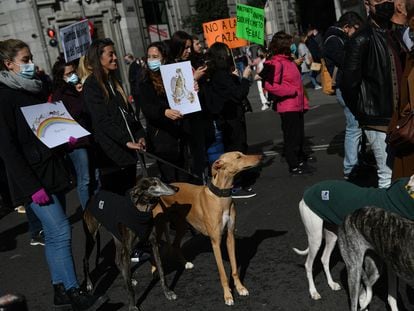 Varias personas, con pancartas contra el maltrato animal marchan durante una manifestación contra la caza.