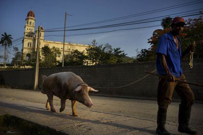 "El deshielo reforzará a la clase media de Cuba", dijo Antony Blinken, Subsecretario de Estado de EE UU, en unas declaraciones a EL PAÍS durante su visita a España el 27 de julio de 2015. En la imagen, un hombre camina con su cerdo por una calle de Santiago, a 800 kilómetros de La Habana.