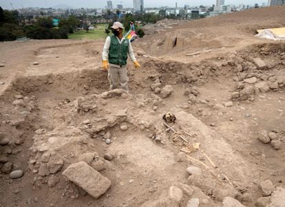 Un equipo de especialistas de la Subgerencia de Arqueología peruana, ha descubierto los restos de al menos tres momias al interior del zoológico Parque de las Leyendas, en el centro oeste de Lima. En la imagen, un especialista señala una de las momias halladas en el zoológico, el 4 de agosto de 2022. 