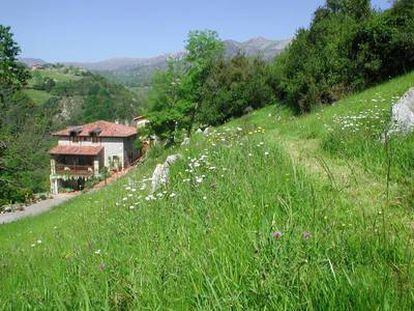 El Hotel Posada del Valle, en Asturias, utiliza fuentes de energía renovables y su cocina se nutre de productos locales y biológicos.