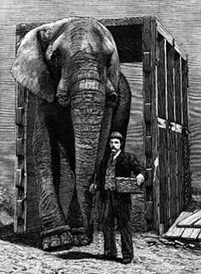 Jumbo, con el único ser humano que le entendió, su cuidador, Matthew Scott. La imagen es de 1885, justo el año de la muerte del elefante.