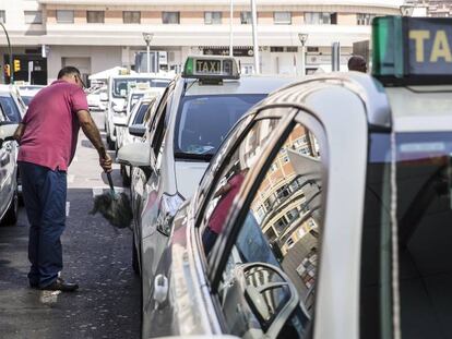 Taxis realizando su servicio en la ciudad de Málaga.