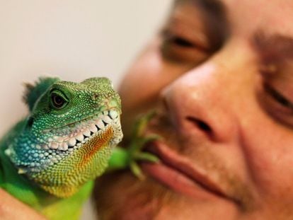 Un entusiasta de los animales exóticos juega con su animal de compañía, un dragón de agua chino, en su casa de Burdeos (Francia), el 7 de diciembre de 2017.