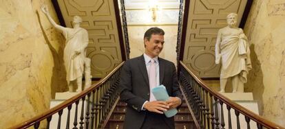 Pedro S&aacute;nchez, en el Congreso. 