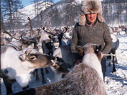 Un pastor siberiano con un rebaño de renos.