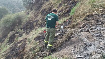 Agentes de la Brigada de Investigación de Incendios Forestales, en Moguer.