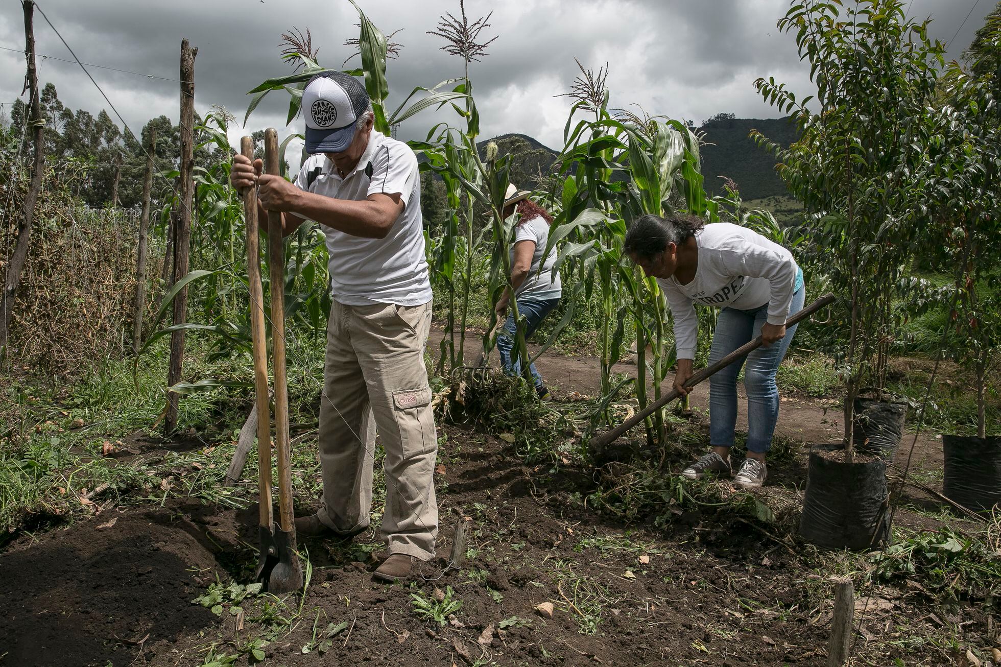 Personas trabajan en un campo de cultivo dentro del campus del centro de formación.