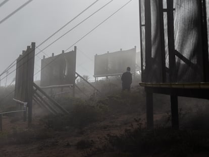 Un trabajador de la Reserva Ecológica Cerro Grande camina entremedio de los atrapaniebla, en la localidad de Peña Blanca, en Coquimbo (Chile).