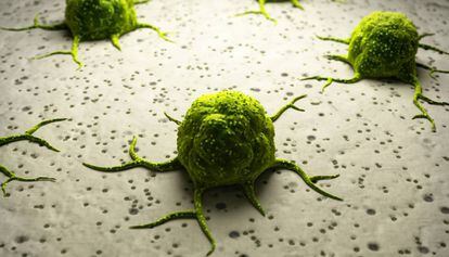 La técnica CRISPR permite luchar contra las células cancerosas.