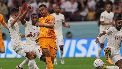 Gakpo coloca el tiro del 1-0 de Paises Bajos ante Qatar.