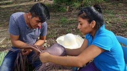 Productores de Jipijapa, México, participan en proyecto de conservación y protección de los bosques.