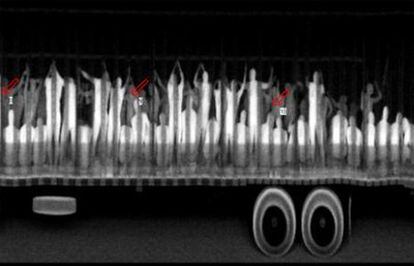 Imagen que muestra cómo fueron detectados, mediante un sistema de rayos X, los 513 inmigrantes.