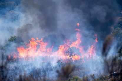 Incendio activo en el Parque Nacional de Monfragüe, en el municipio de Deleitosa (Cáceres), este sábado. El incendio está "más estabilizado", por lo que, se ha procedido a la reapertura de la A-5 en ambos sentidos, aunque aún existen tres puntos "críticos" en los que el plan operativo se mantienen "especialmente vigilante", ha explicado a los medios la directora general de Emergencias, Protección Civil e Interior, Nieves Villar.