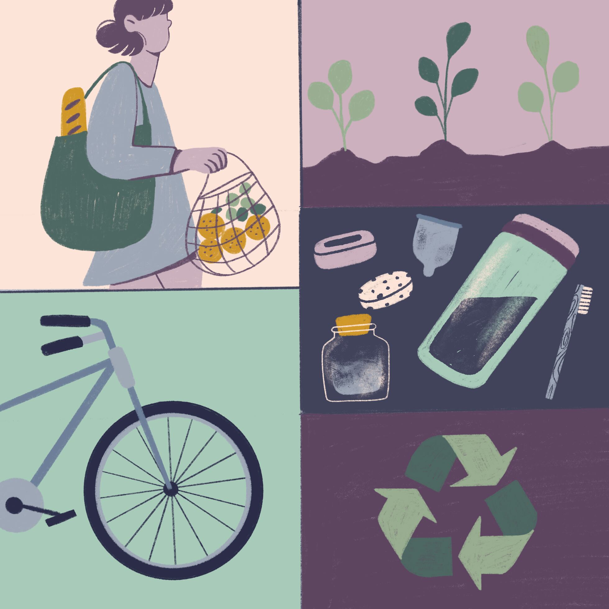 How to recycle in Latin America do you know where your garbage ends up