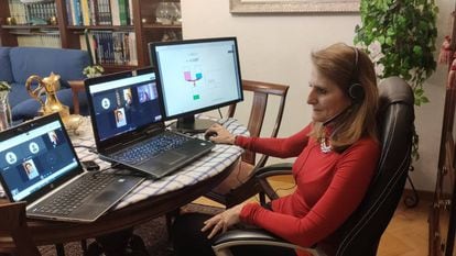 María Fernanda Rey-Stolle, profesora de Química y Bioquímica de la Universidad CEU San Pablo, imparte una clase online durante el confinamiento.