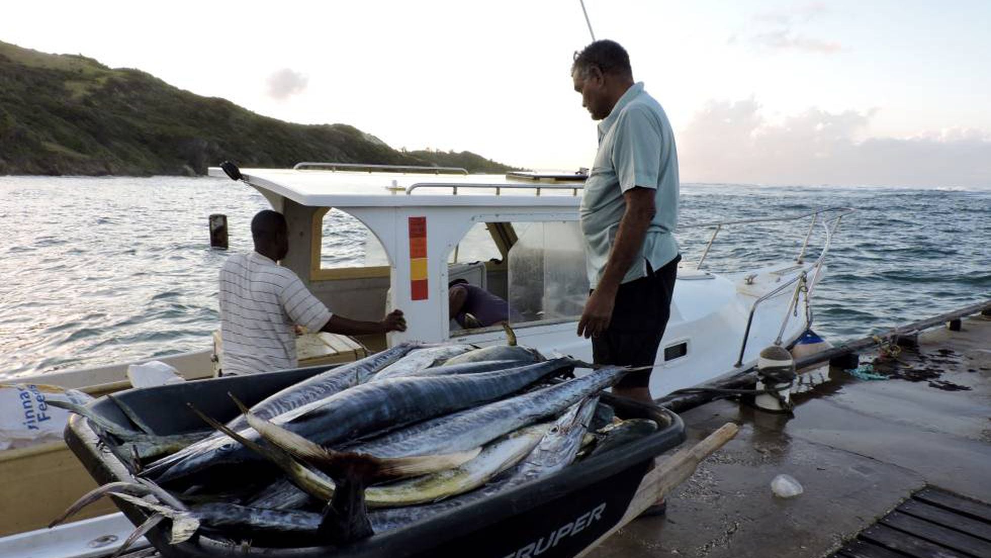 5 aplicaciones de pesca deportiva en el mar para mejorar tu técnica