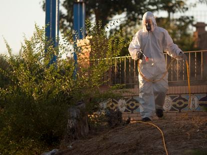 Un operario trabaja en labores de fumigación de mosquitos en zonas verdes de la localidad sevillana de La Puebla del Río.