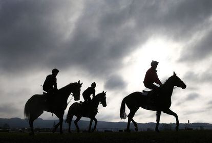 Una serie de caballos, entrenados por Willie Mullins, cabalgan al galope en el hipódromo de Cheltenham, en el oeste de Inglaterra.