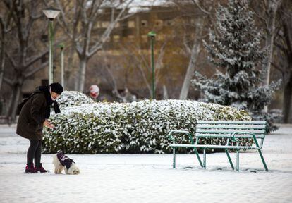Una mujer con su perro en un parque nevado, en Burgos.  La provincia está en alerta debido a que la cota de nieve ha bajado a los 400 metros y se esperan nevadas generalizadas.