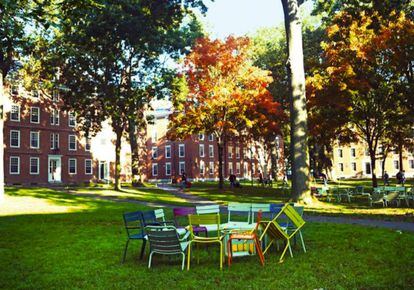 Las zonas verdes del campus de la Universidad de Harvard