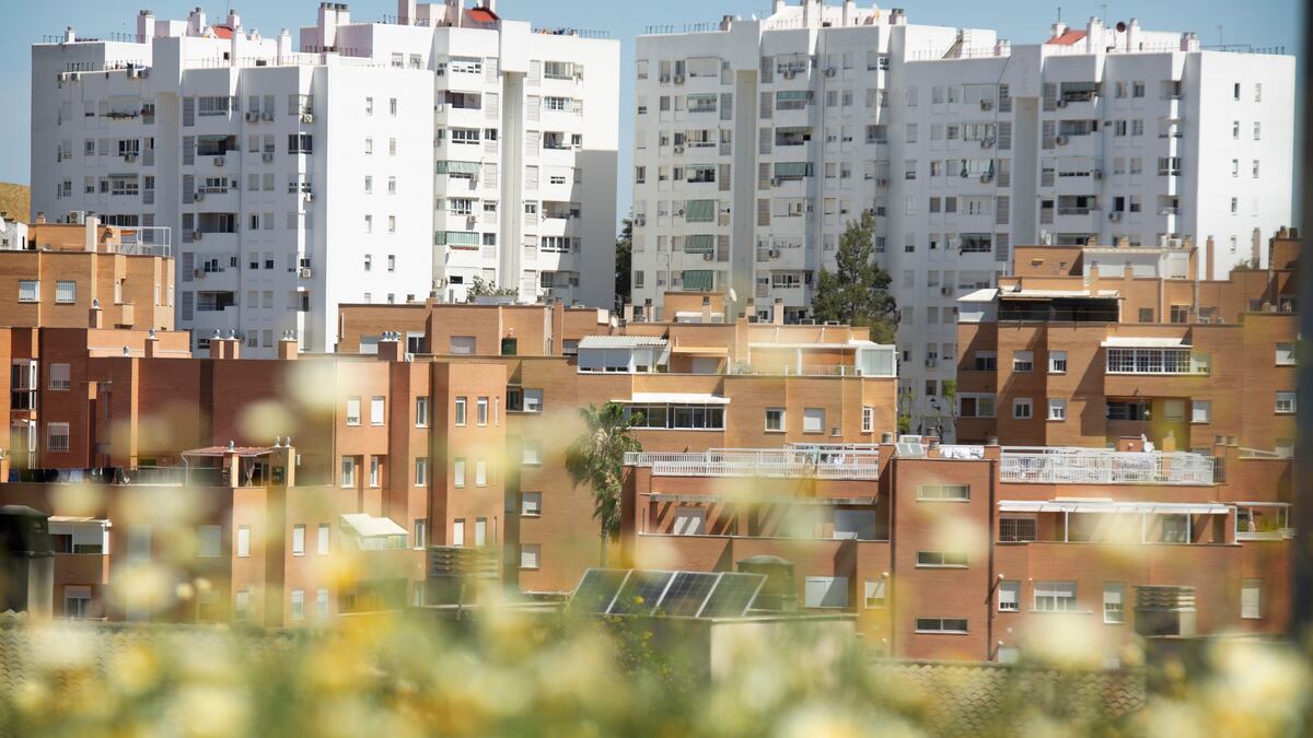 Jóvenes sin casa, al límite | Economía