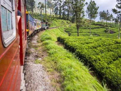 Un tren atraviesa la región de Nuwara Eliya, en Sri Lanka, zona montañosa repleta de plantaciones de té.
