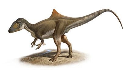 Reconstrucción del aspecto del dinosaurio descubierto en Las Hoyas (Cuenca).